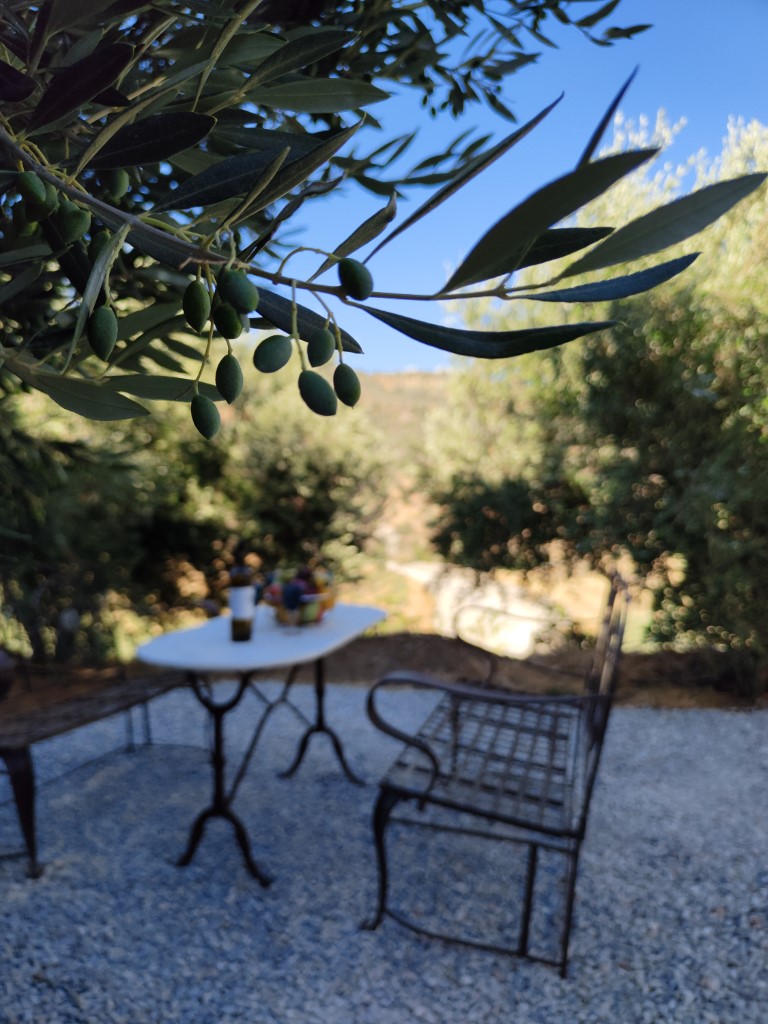 IMG20220717181241 (1)